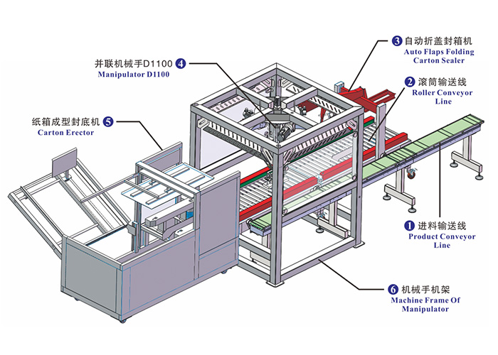 Carton-Packing-Line